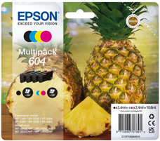 Epson 604 multipack