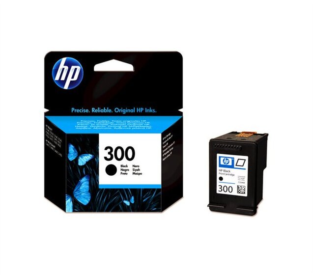 HP 300 fekete patron (CC640EE) eredeti