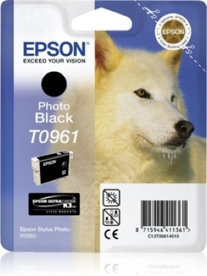 Eredeti Epson T096 foto-fekete patron